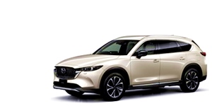 CX-8のタイヤサイズ [3DA-KG2P] 2WD・2.2D・XD Lパッケージ(6人乗