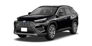 RAV4のバッテリーサイズ[6BA-MXAA54]4WD・G Zパッケージ・CVT (118773) - Spec Tank